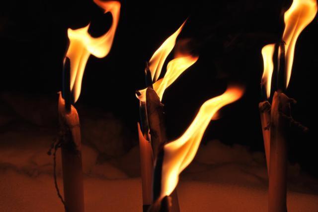 Burnout Wildalps Apartment Wildalpen Ngoại thất bức ảnh